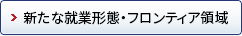 新たな就業形態・フロンティア領域