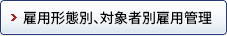 雇用形態別、対象者別雇用管理