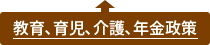 教育、育児、介護、年金政策