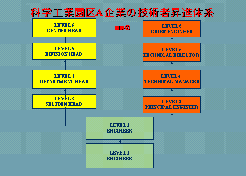 資料p