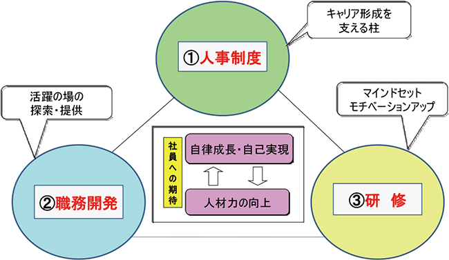 (1)人事制度（キャリア形成を支える柱）
(2)職務開発（活躍の場の探索・提供）
(3)研修（マインドセット モチベーションアップ）