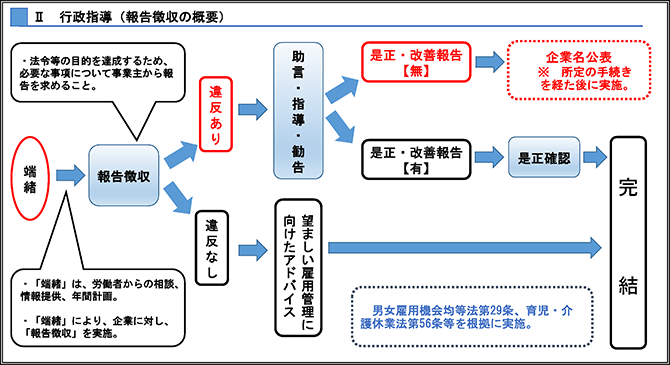 行政指導（報告徴収の概要）（詳細は配布資料3ページ参照）