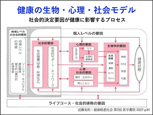 健康の⽣物・⼼理・社会モデル
社会的決定要因が健康に影響するプロセス
近藤克則：健康格差社会 第2版 医学書院 2022 p34