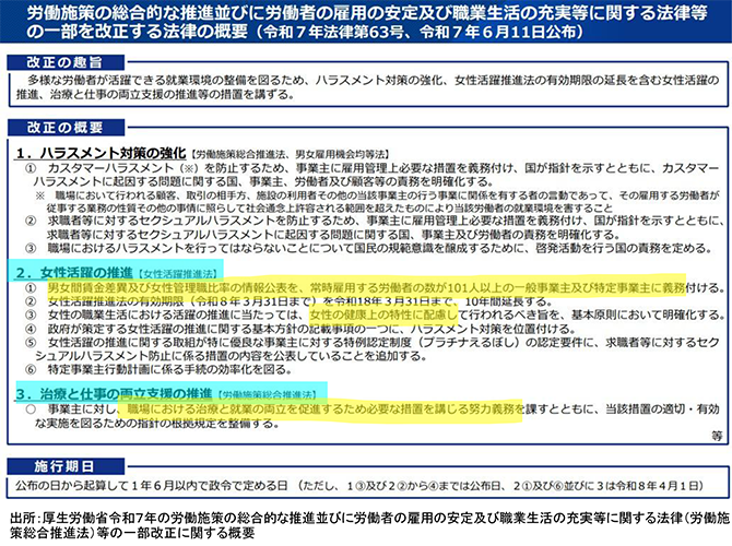労働施策の総合的な推進並びに労働者の雇用の安定及び職業生活の充実等に関する法律等の一部を改正する法律の概要（令和7年法律第63号、令和7年6月11日公布）