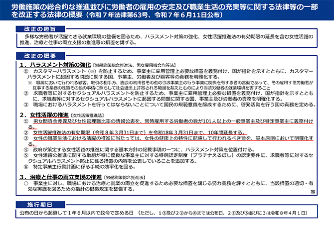 労働施策の総合的な推進並びに労働者の雇用の安定及び職業生活の充実等に関する法律等の一部を改正する法律の概要（令和7年法律第63号、令和7年6月11日公布）