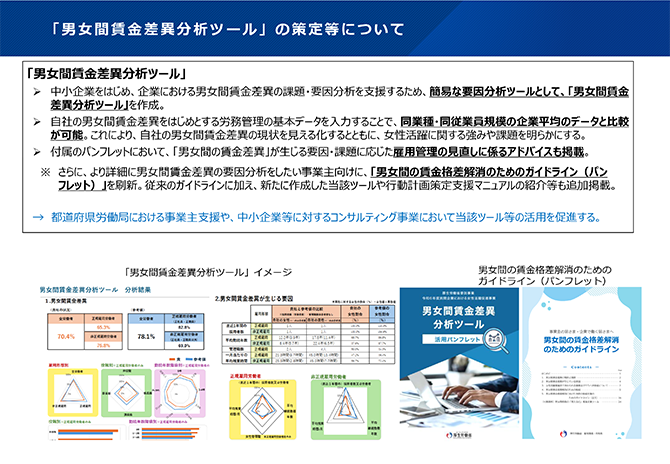 「男女間賃金差異分析ツール」の策定等について