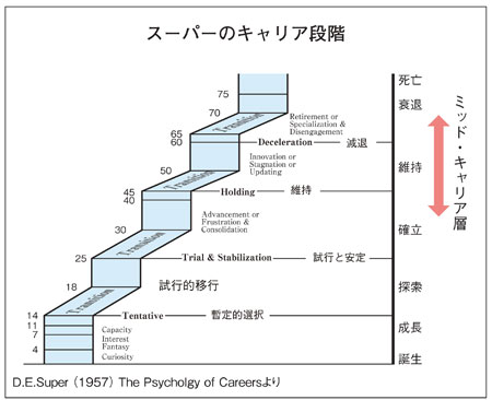 スーパーのキャリア段階