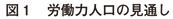 図1 労働力人口の見通し