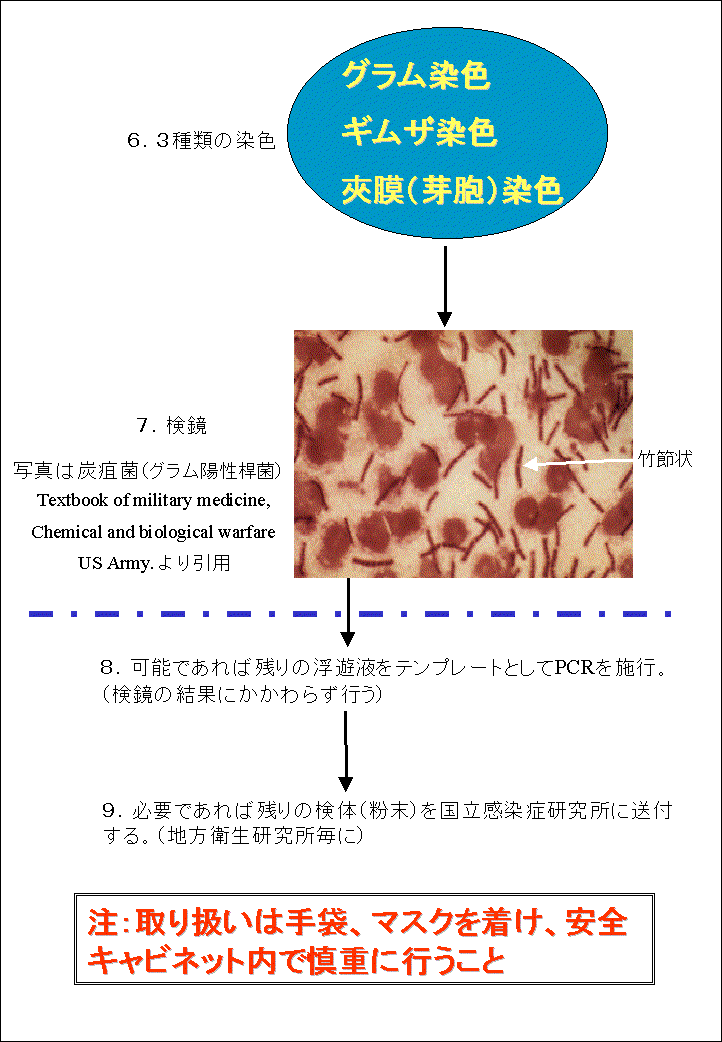 a׋ۂł邱Ƃ^镲̌@@TX̐}