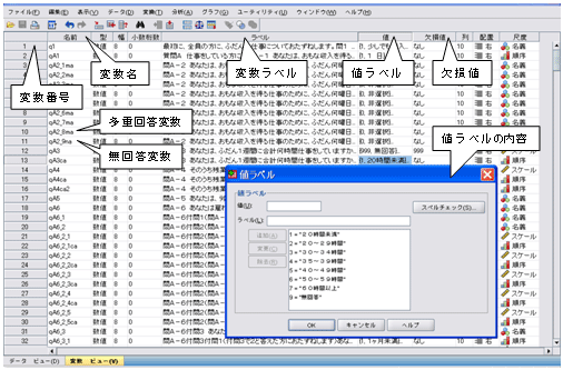 図２　変数ビューの例（クリックで拡大）