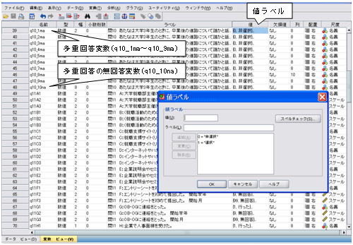 図３　変数ビュー（クリックで拡大）