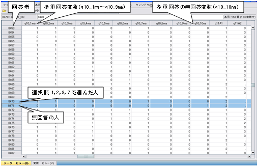 図４　データビュー（クリックで拡大）