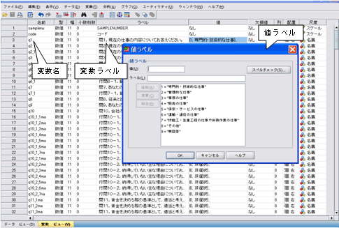 図　SPSS形式の画面上の表示例（クリックで拡大）